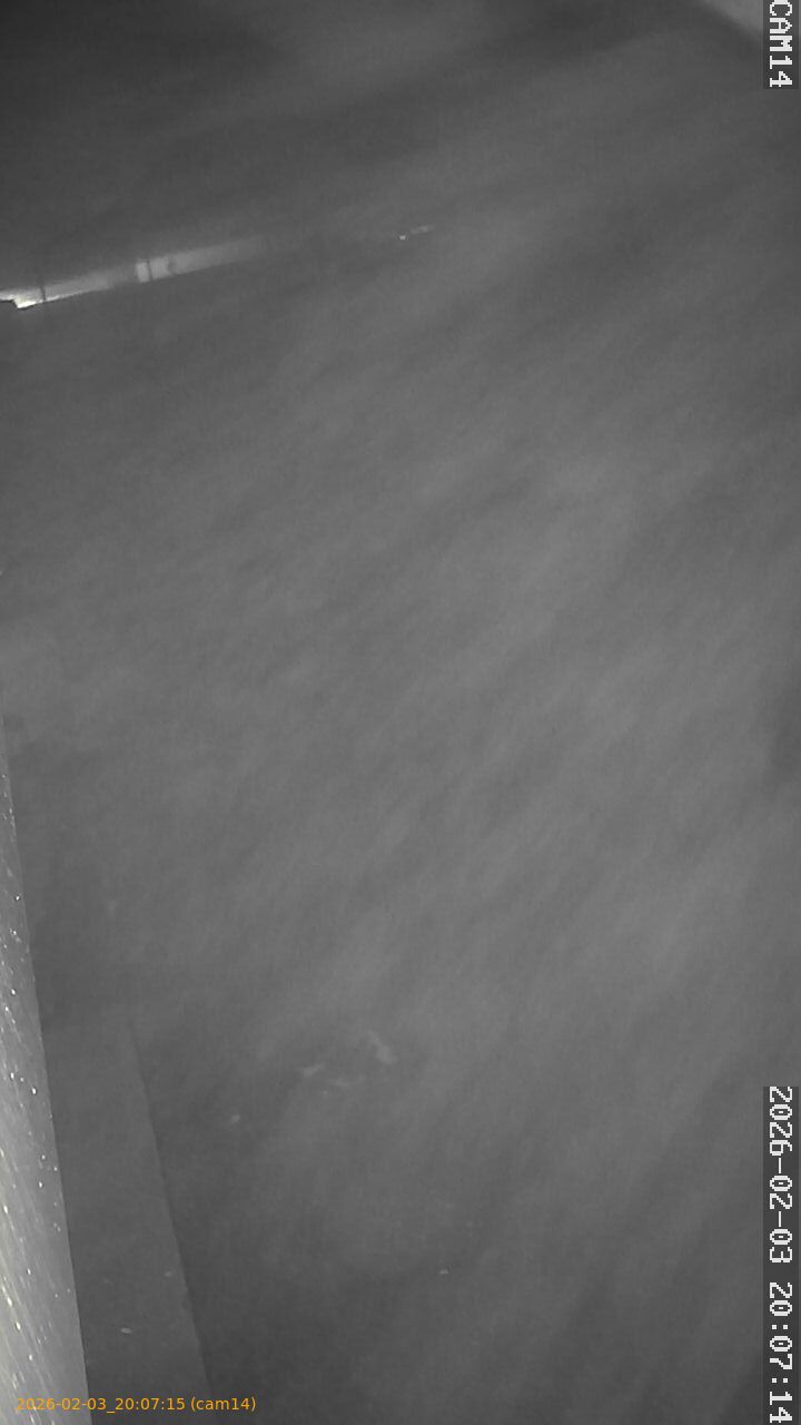 thumbnail_20260203200715