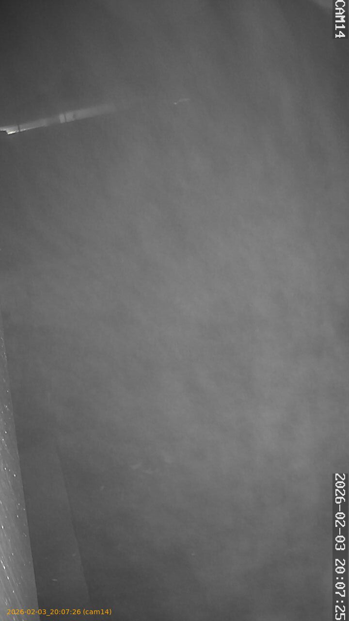 thumbnail_20260203200726