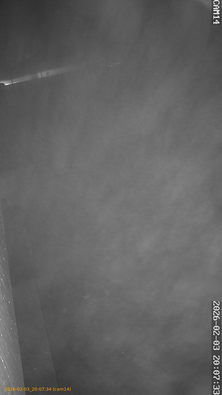 thumbnail_20260203200734