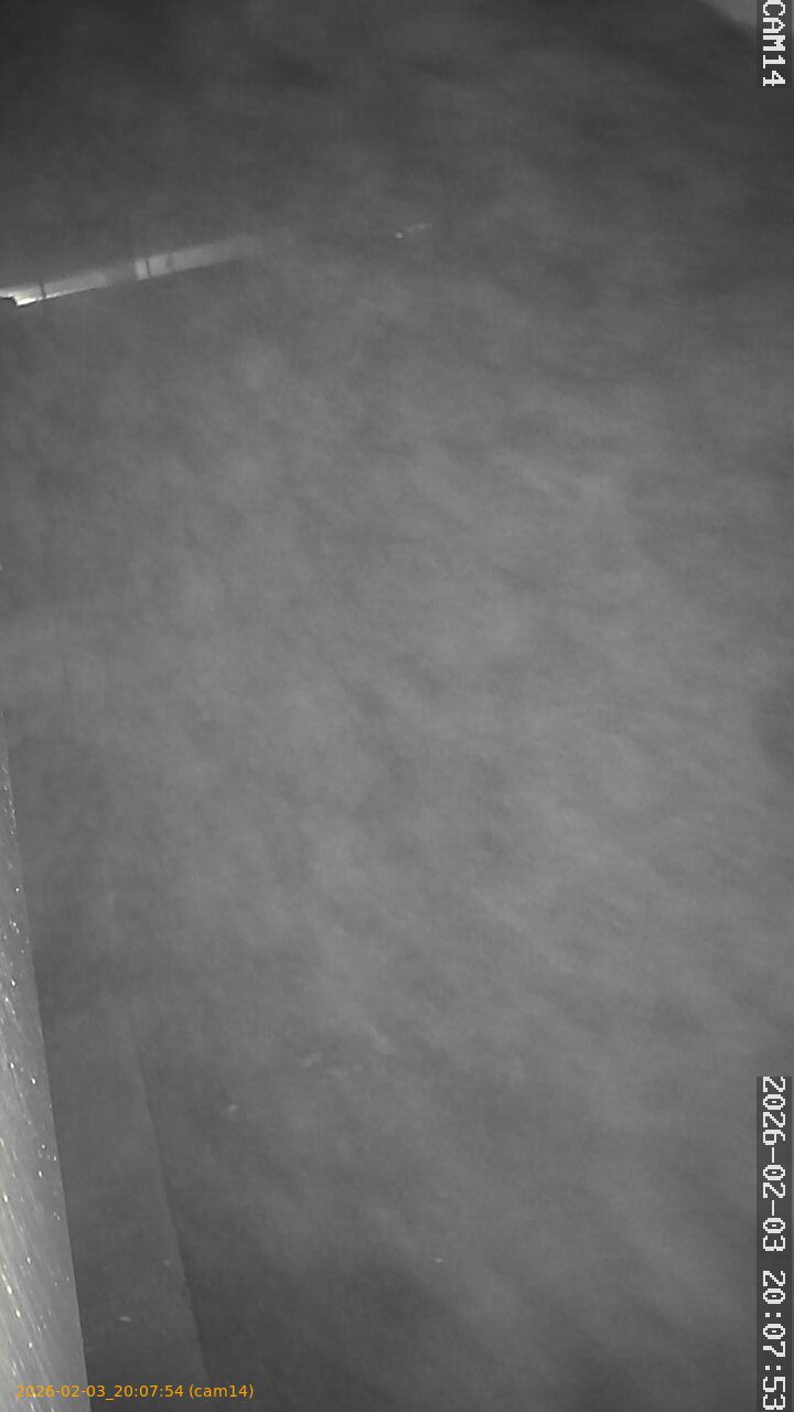 thumbnail_20260203200754