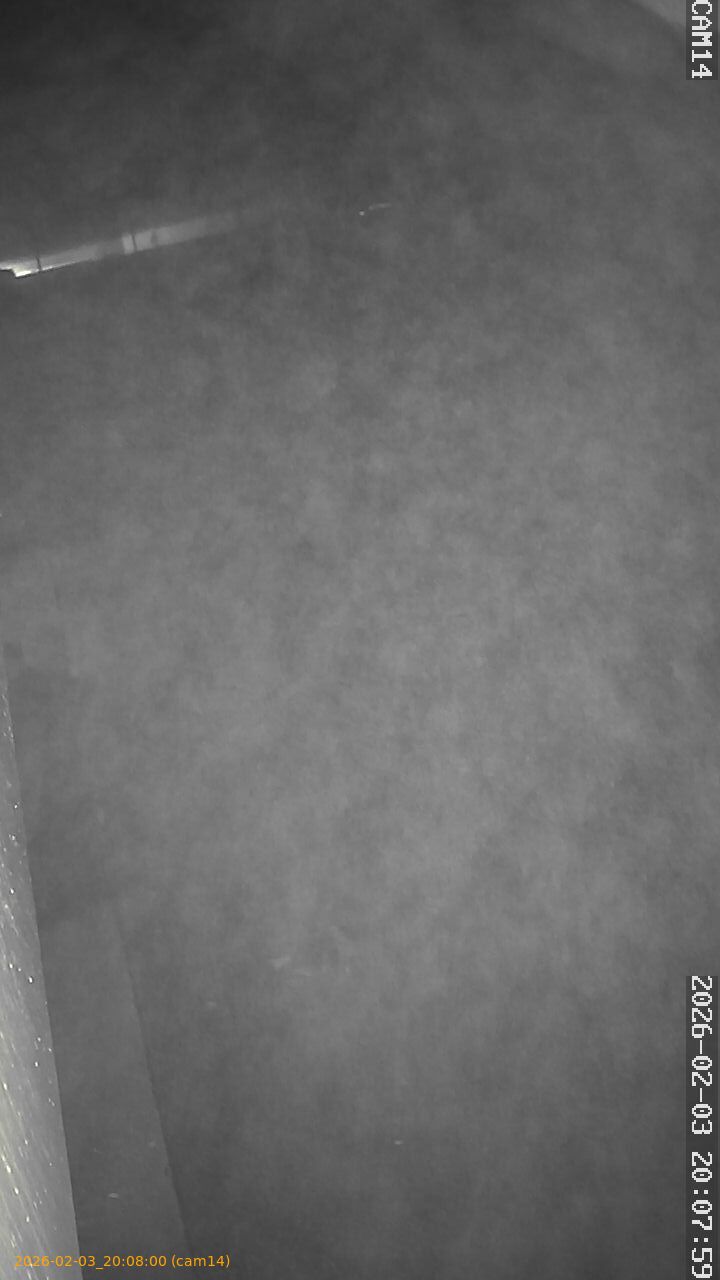 thumbnail_20260203200800