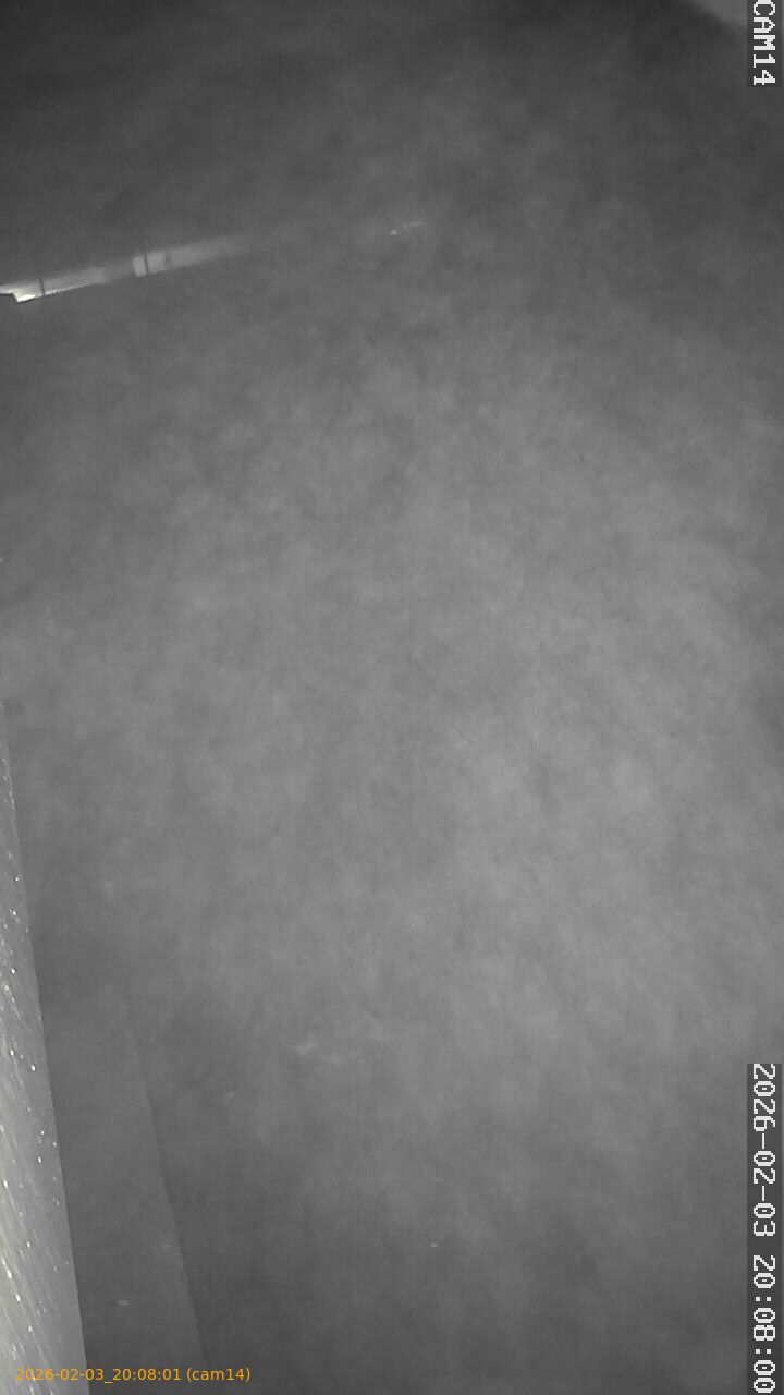 thumbnail_20260203200801