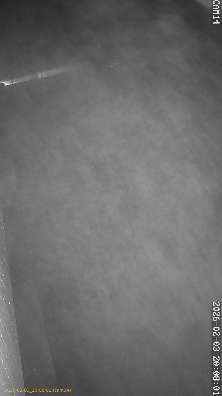 thumbnail_20260203200802