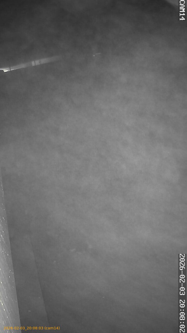 thumbnail_20260203200803