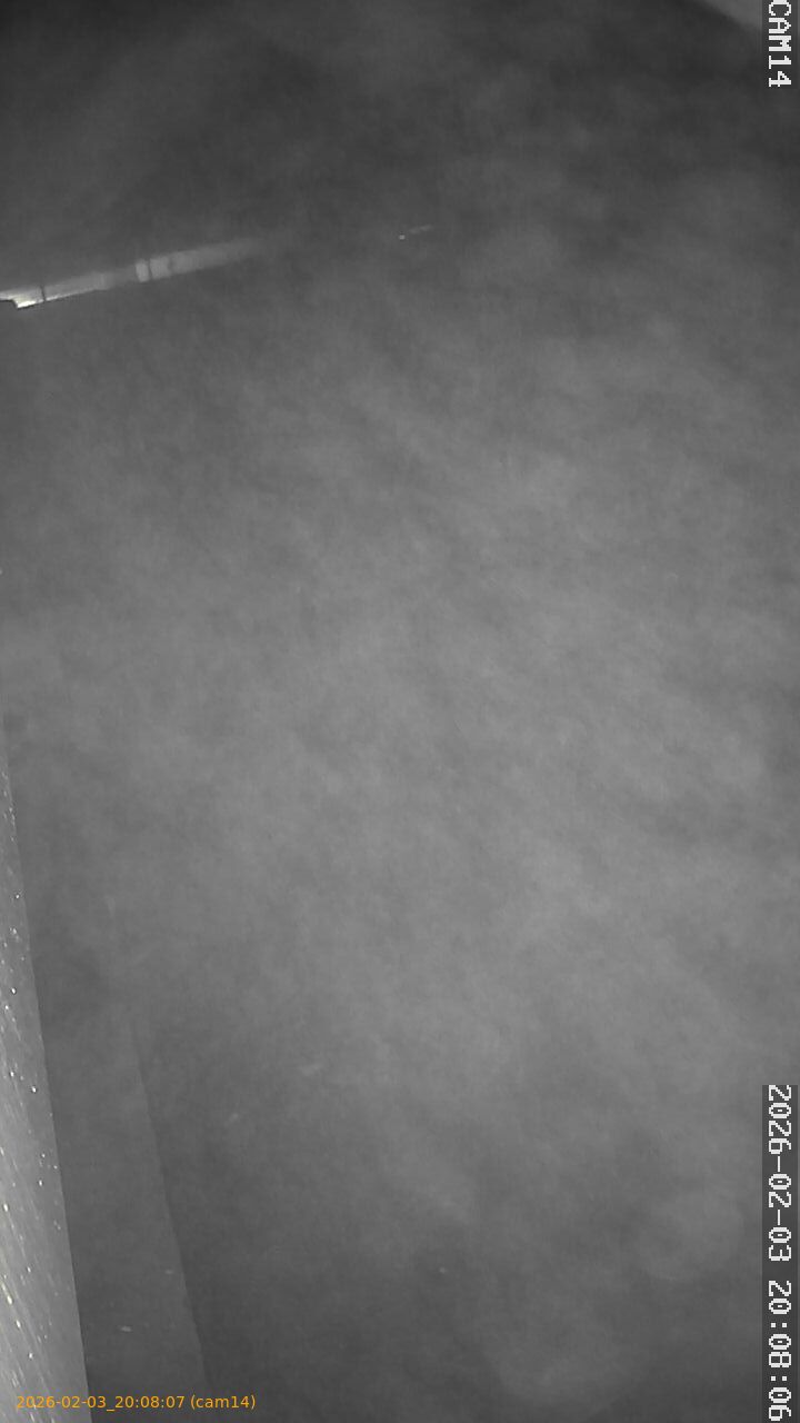 thumbnail_20260203200807