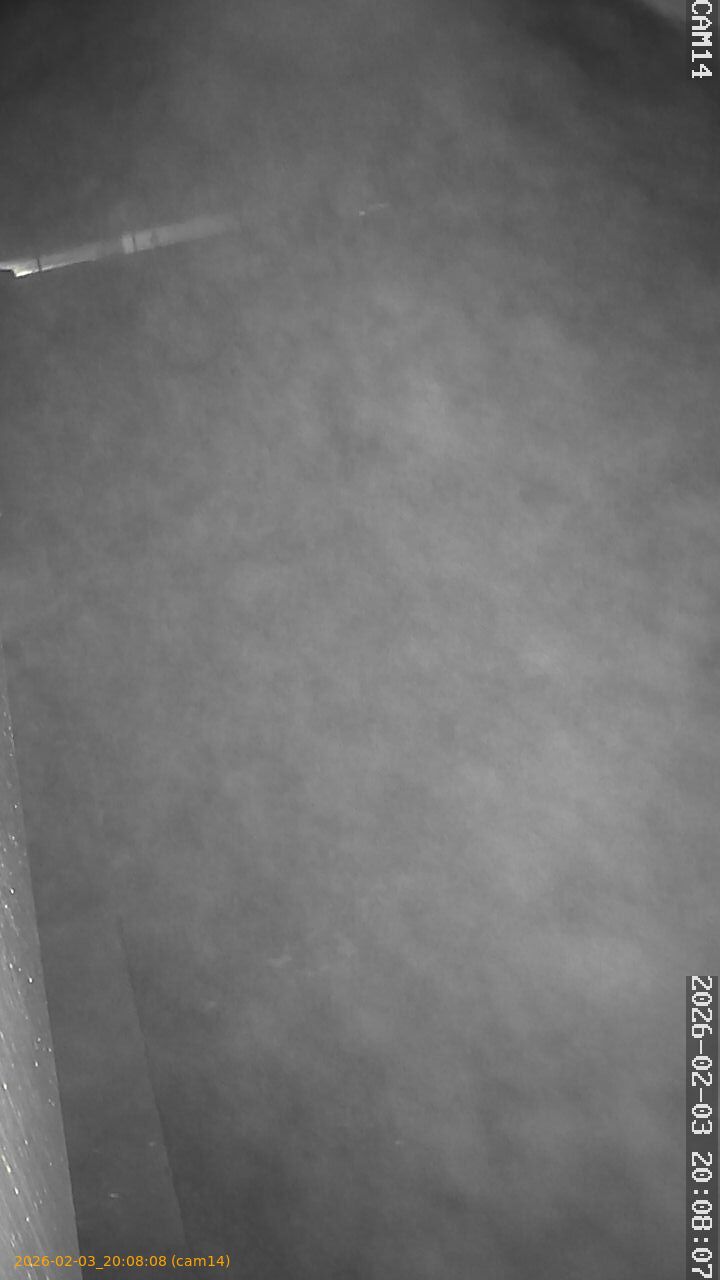 thumbnail_20260203200808