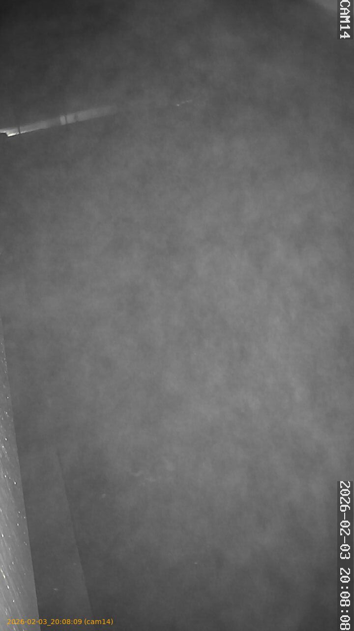 thumbnail_20260203200809