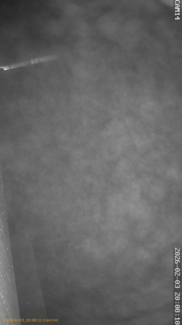 thumbnail_20260203200811