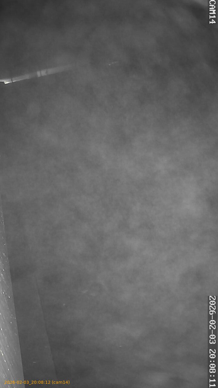 thumbnail_20260203200812