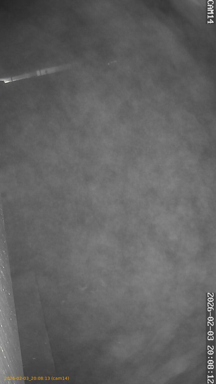 thumbnail_20260203200813