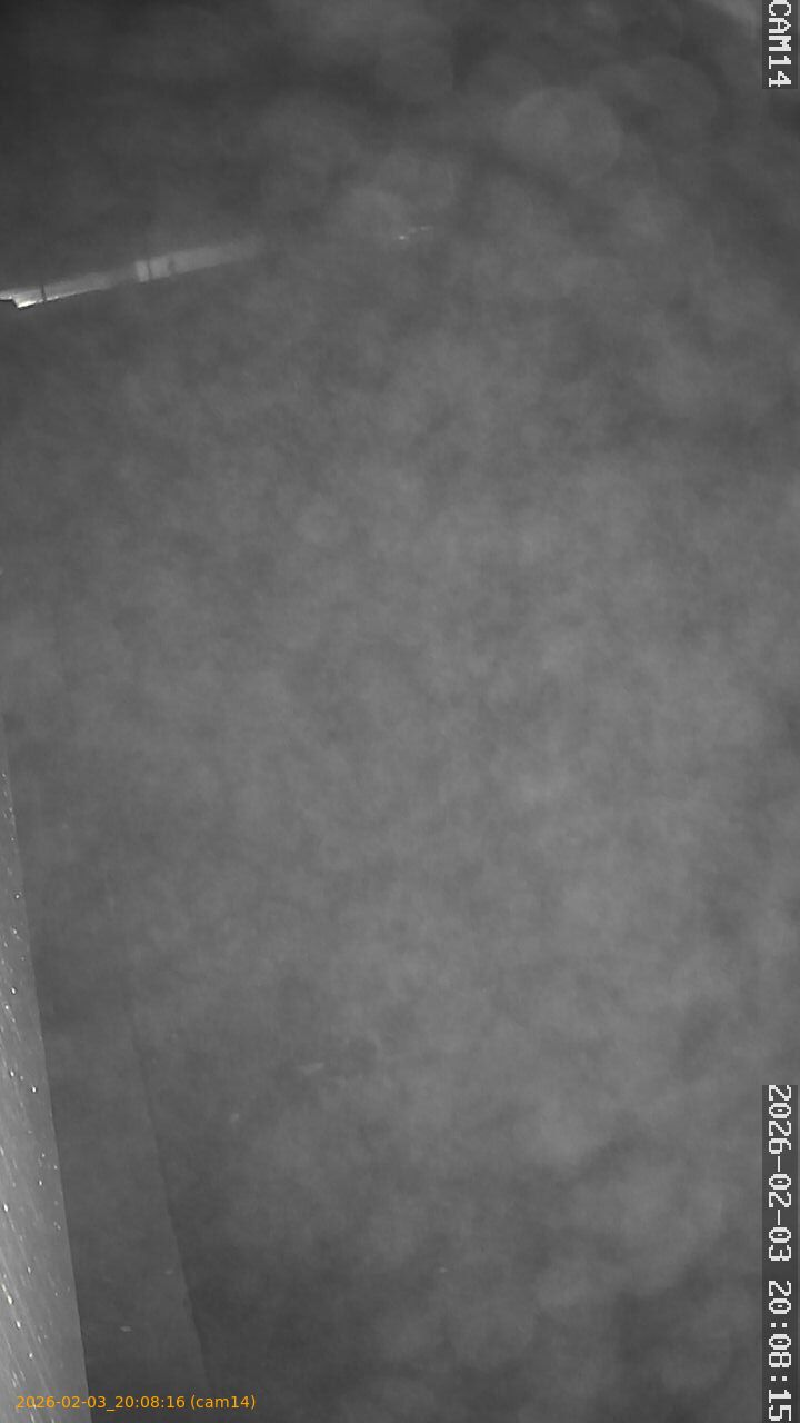 thumbnail_20260203200816