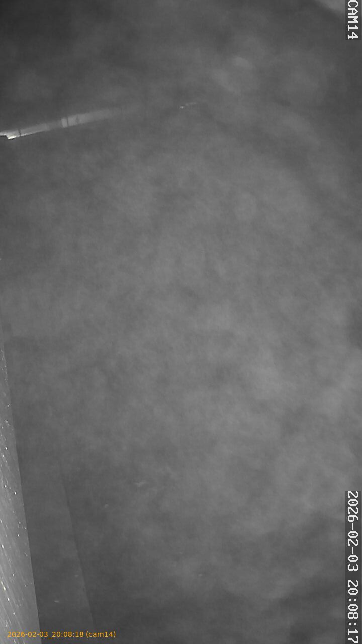 thumbnail_20260203200818