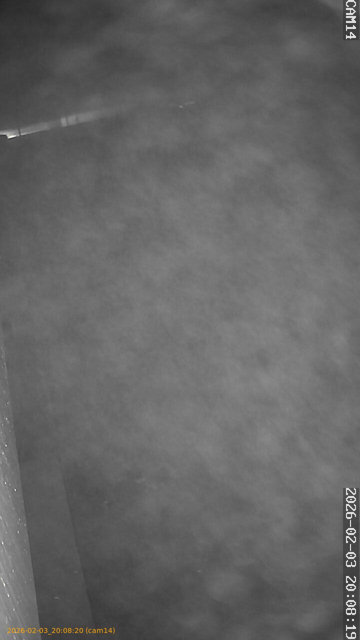 thumbnail_20260203200820