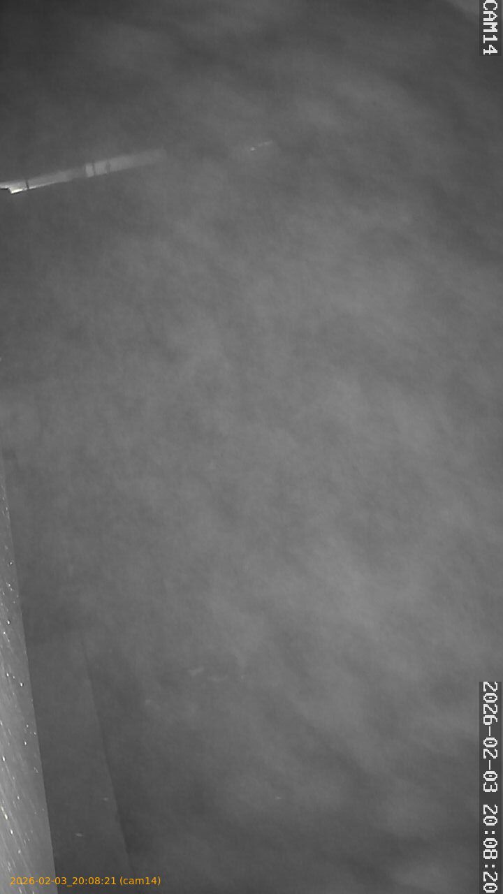 thumbnail_20260203200821