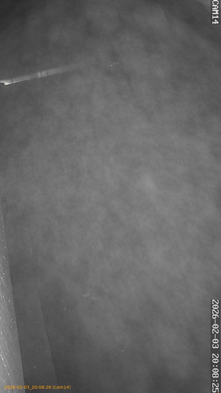 thumbnail_20260203200826