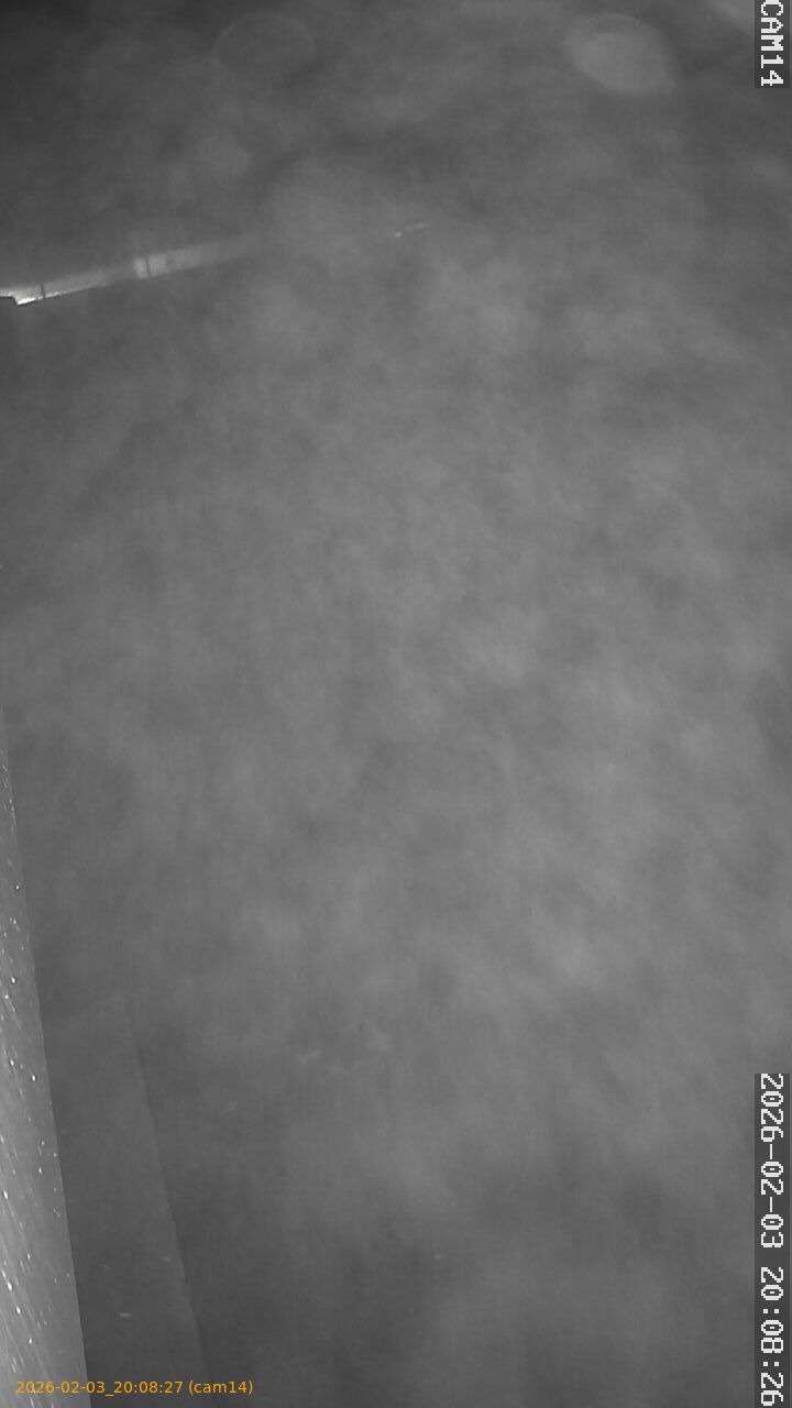 thumbnail_20260203200827