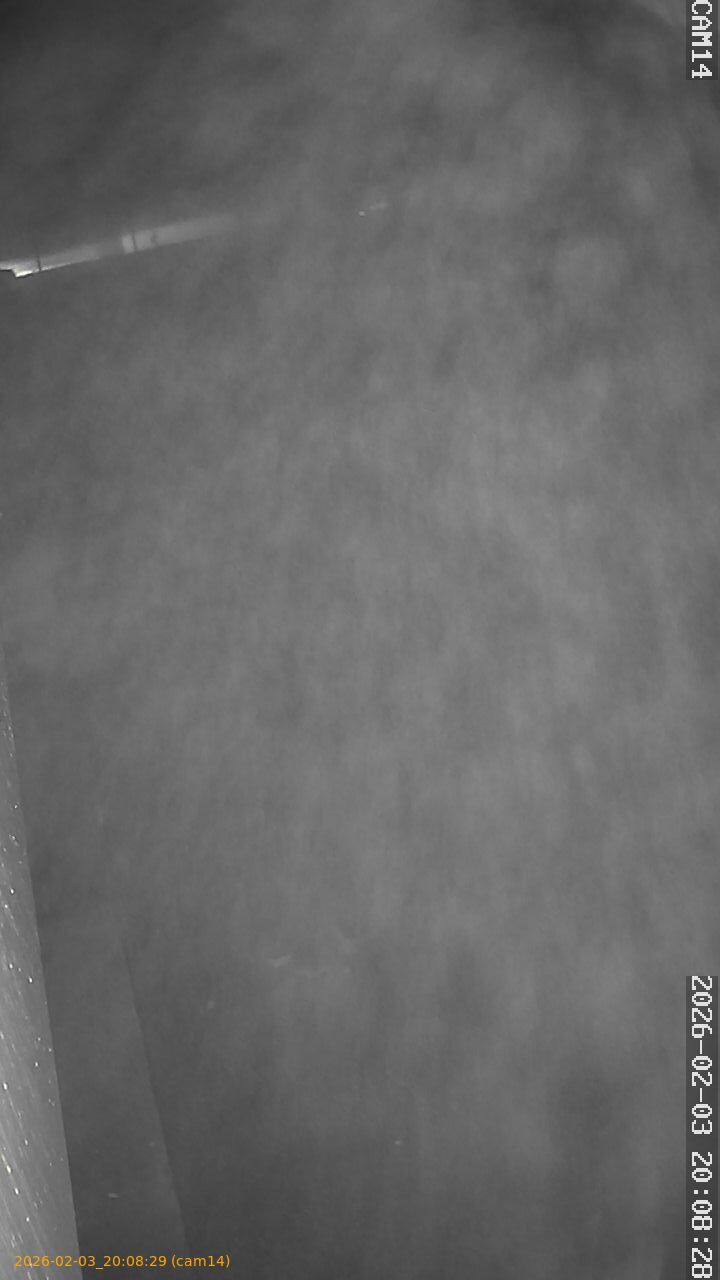 thumbnail_20260203200829