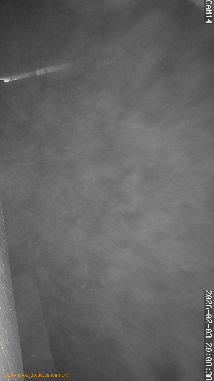 thumbnail_20260203200839