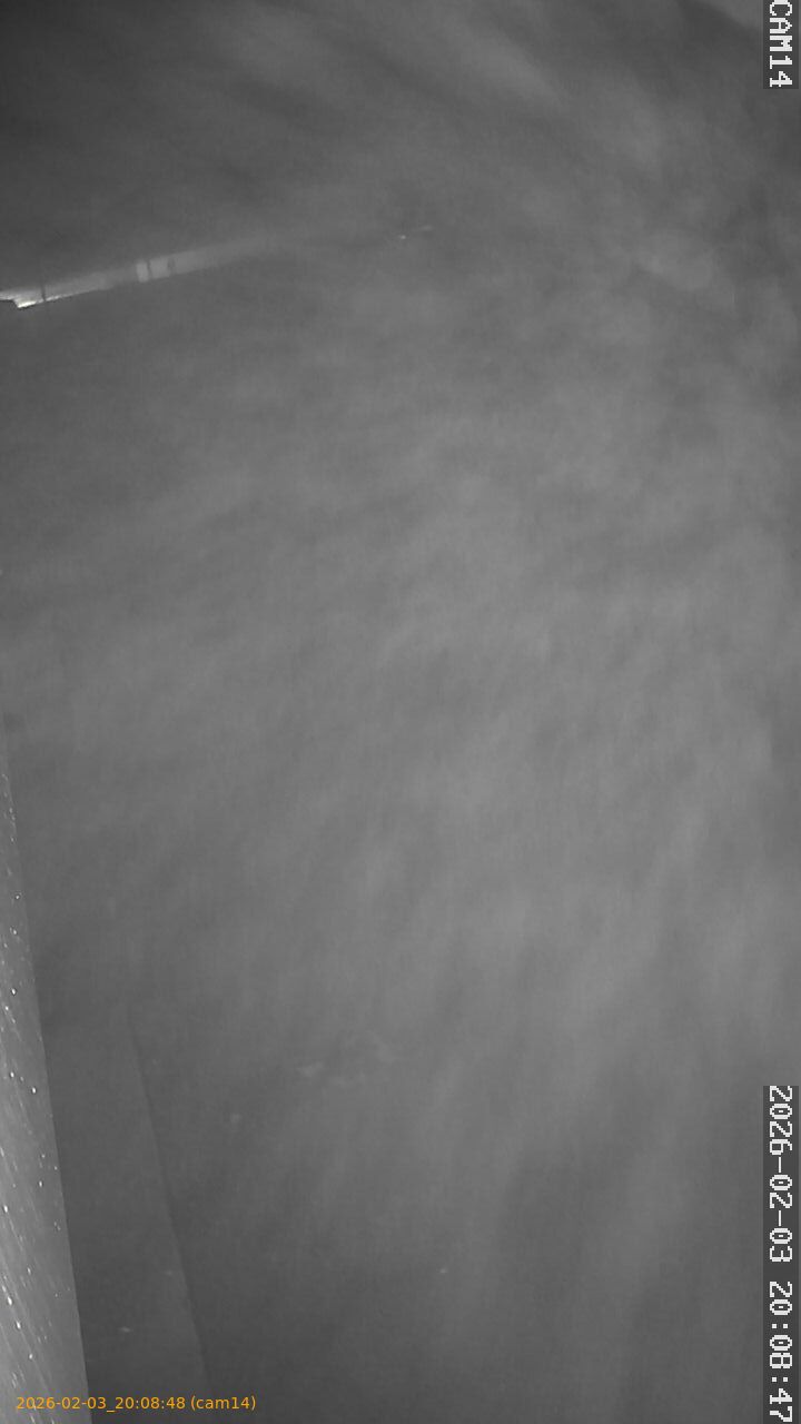 thumbnail_20260203200848