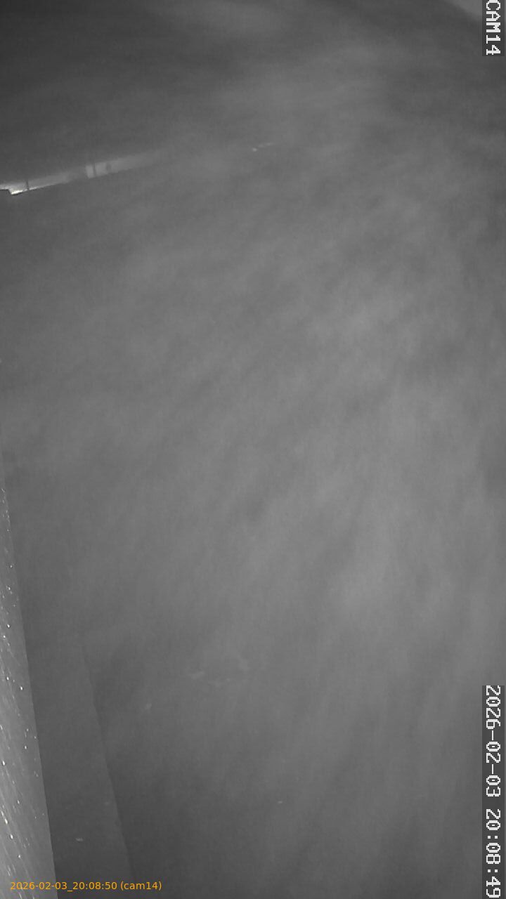 thumbnail_20260203200850