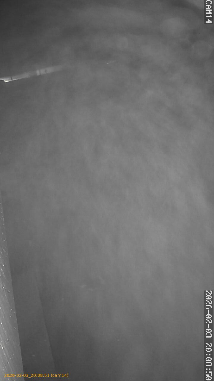 thumbnail_20260203200851