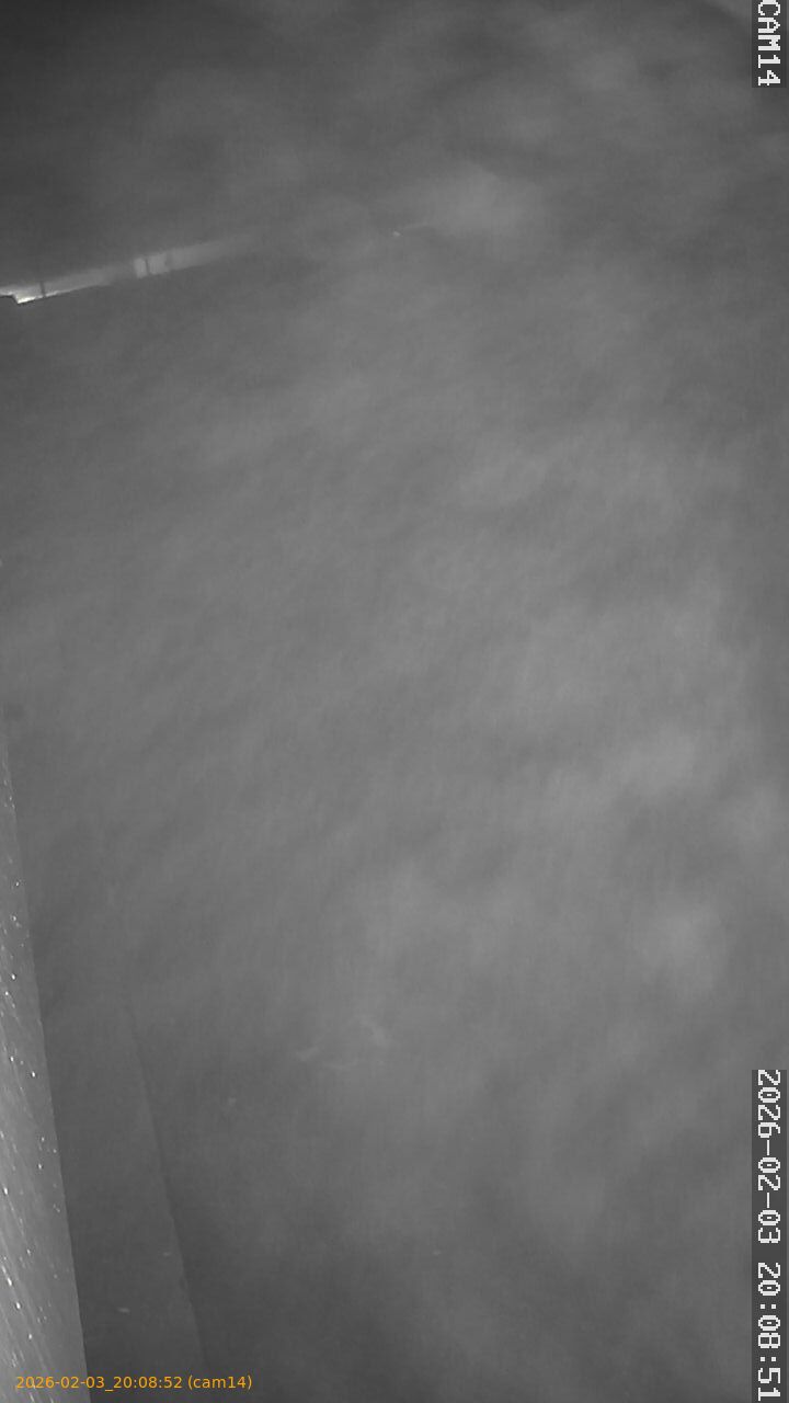 thumbnail_20260203200852