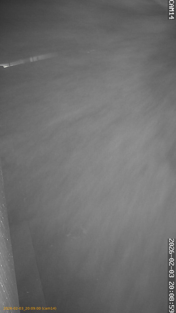 thumbnail_20260203200900