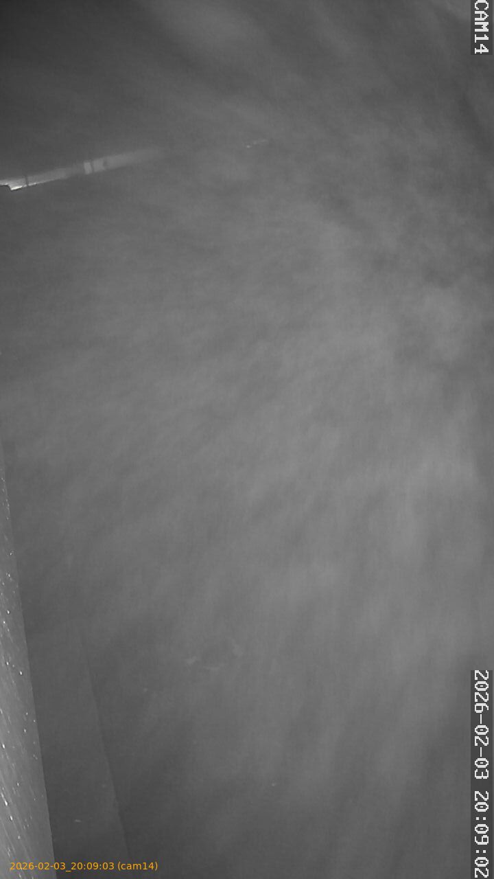 thumbnail_20260203200903