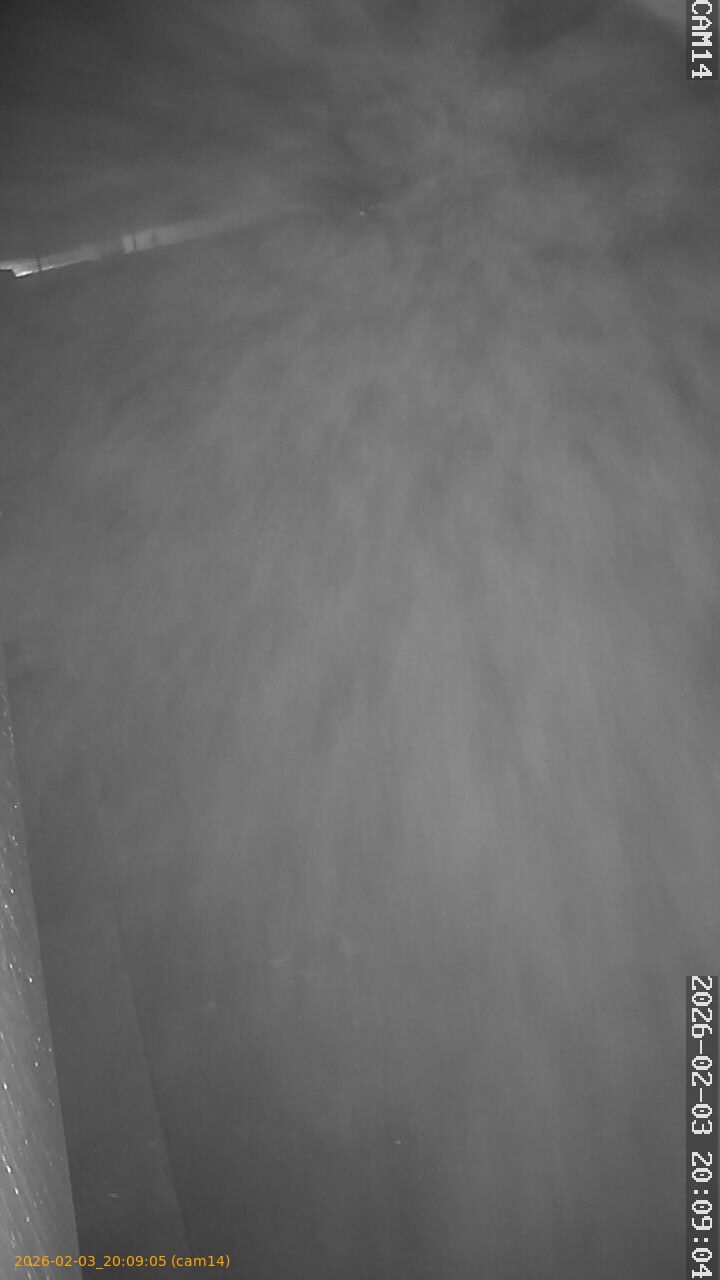 thumbnail_20260203200905