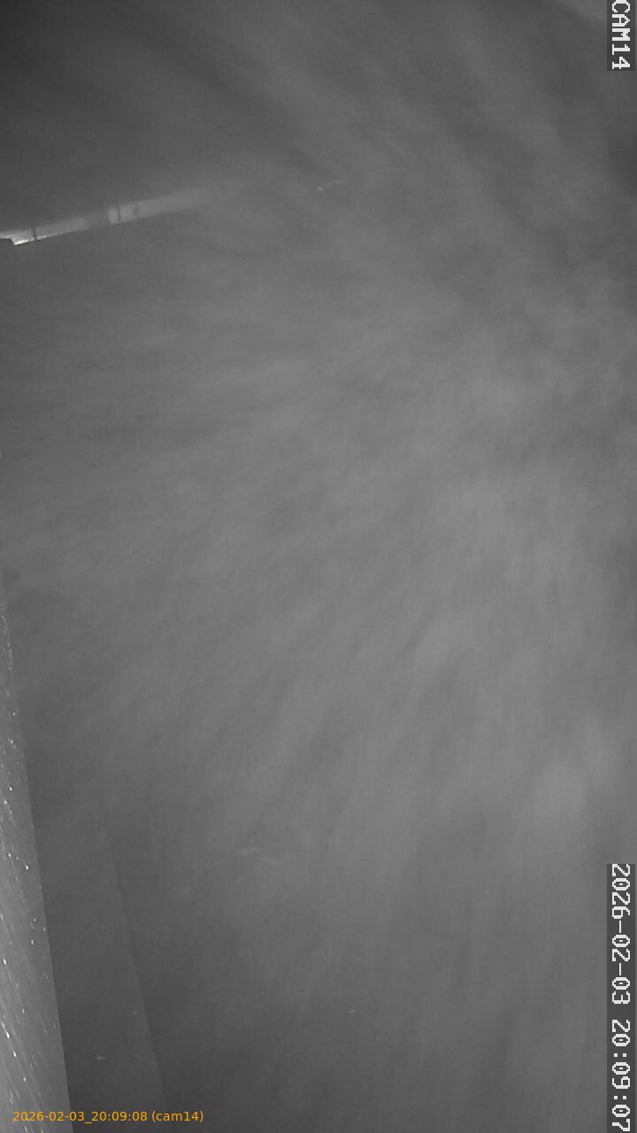 thumbnail_20260203200908