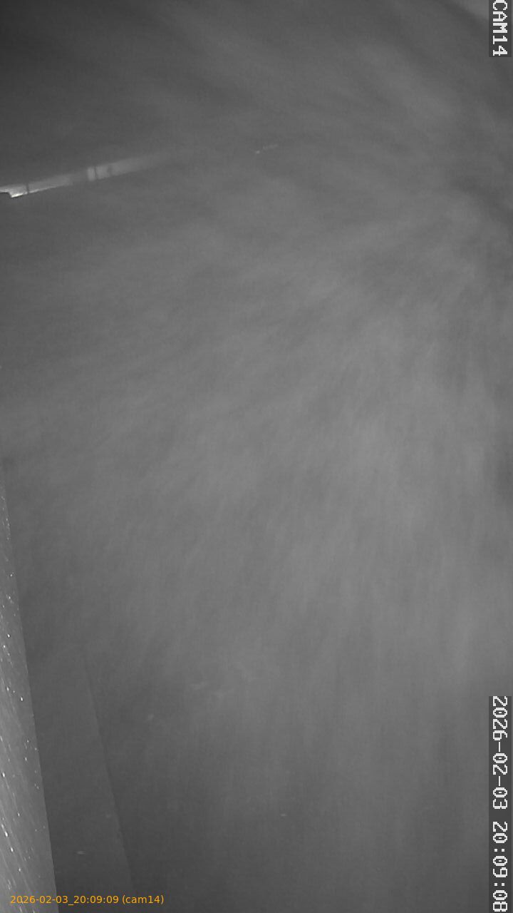 thumbnail_20260203200909