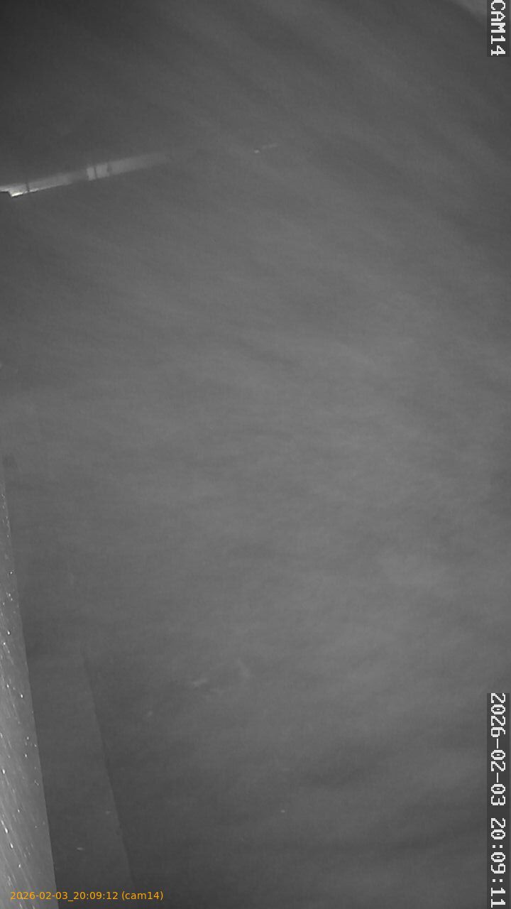 thumbnail_20260203200912