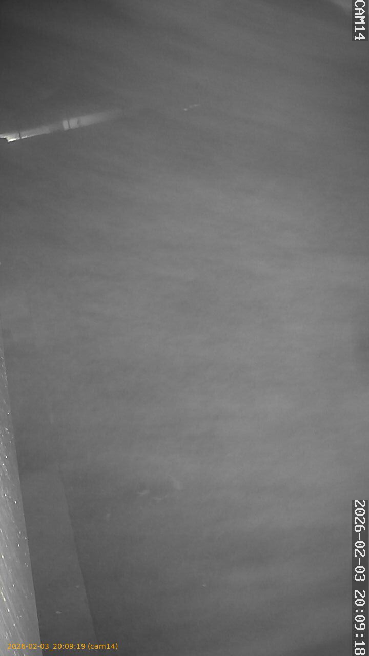 thumbnail_20260203200919