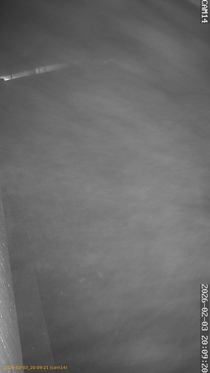 thumbnail_20260203200921