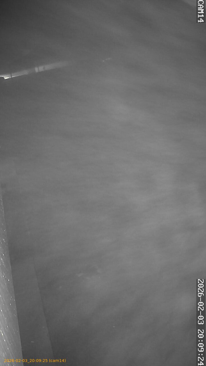 thumbnail_20260203200925