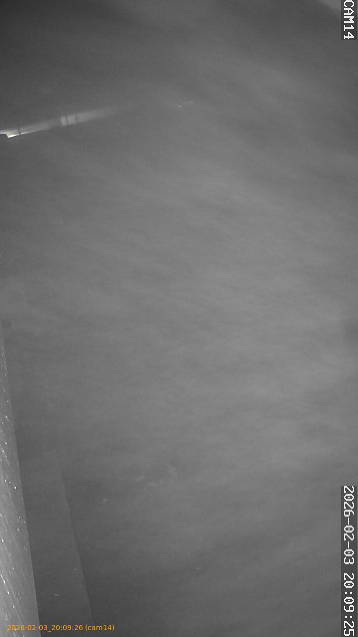 thumbnail_20260203200926