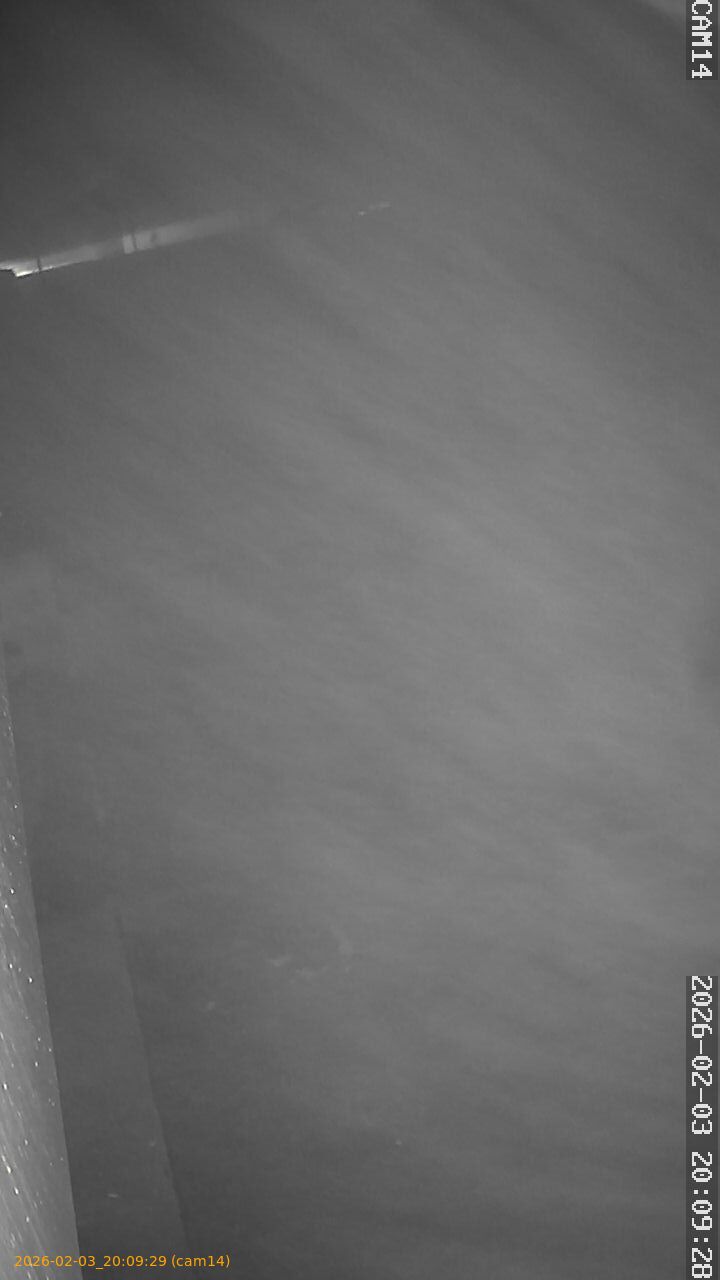 thumbnail_20260203200929