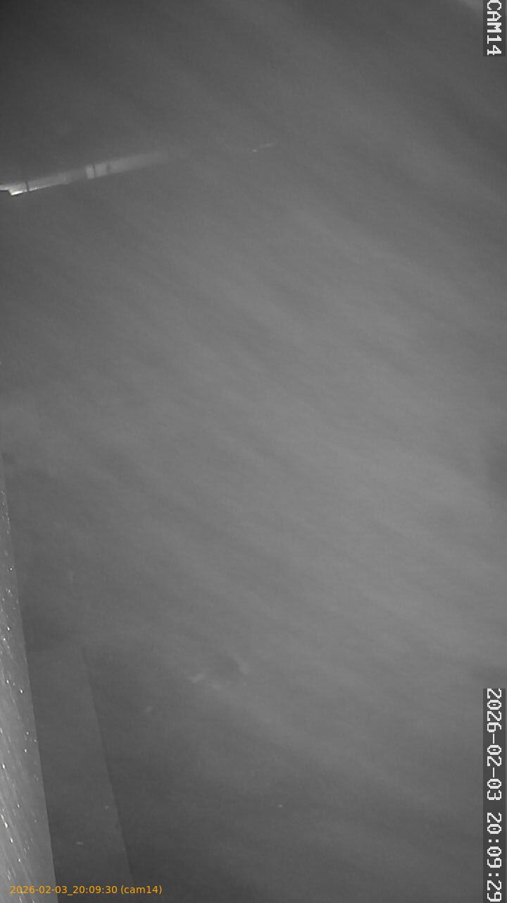 thumbnail_20260203200930