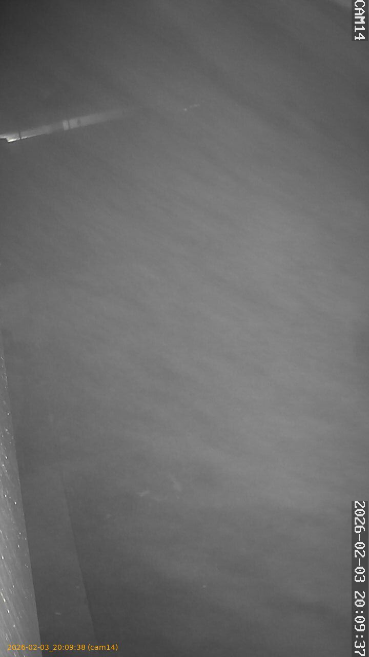 thumbnail_20260203200938