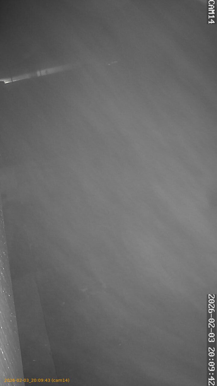 thumbnail_20260203200943