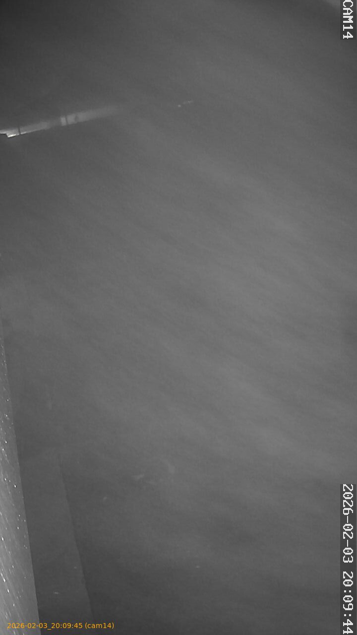 thumbnail_20260203200945