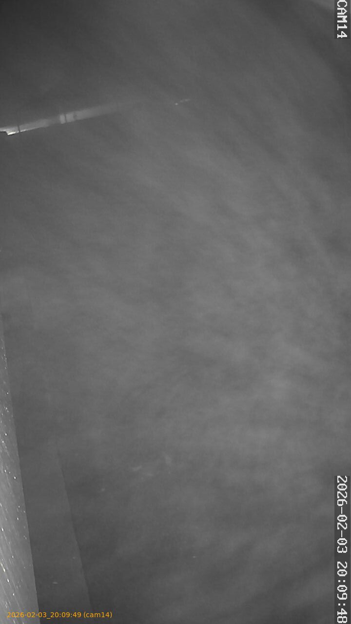 thumbnail_20260203200949