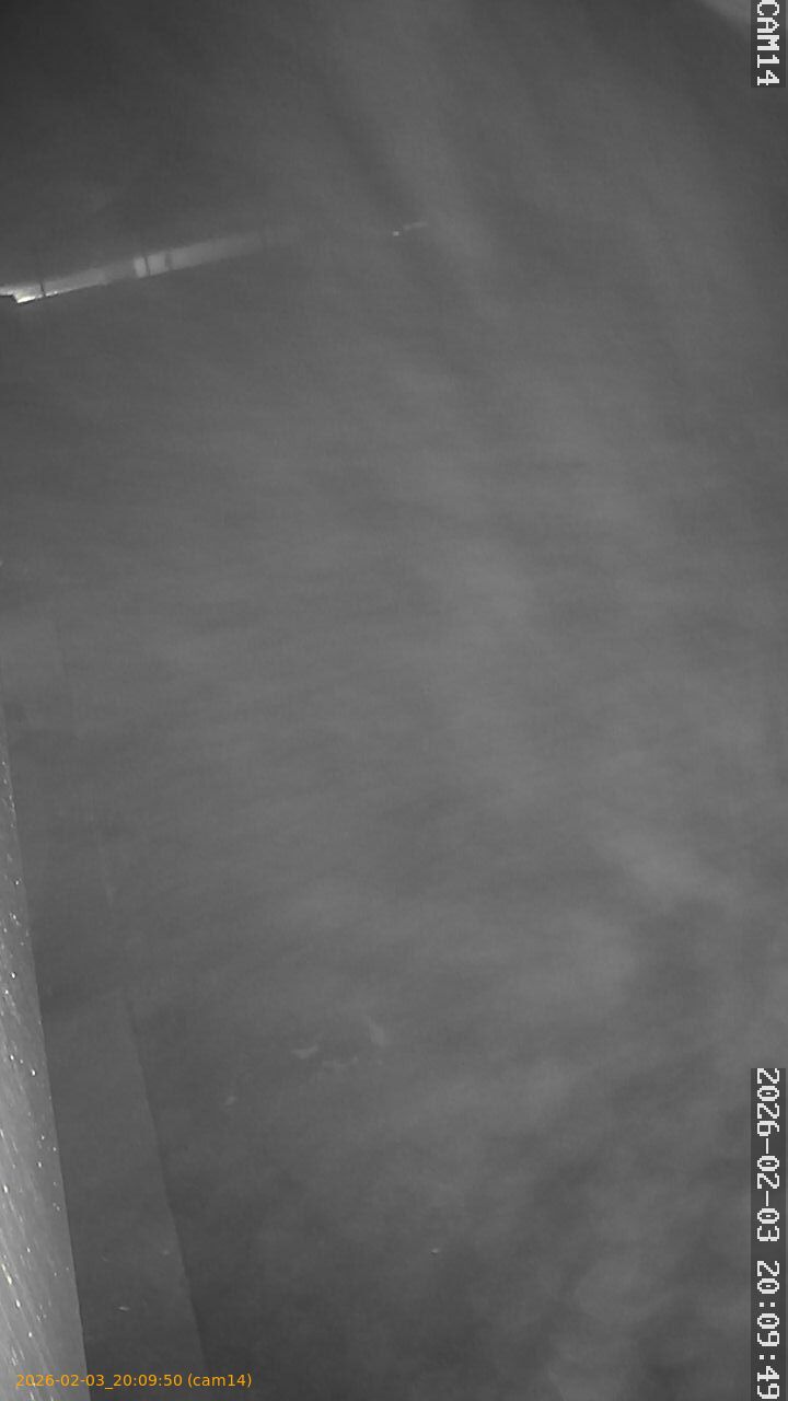 thumbnail_20260203200950