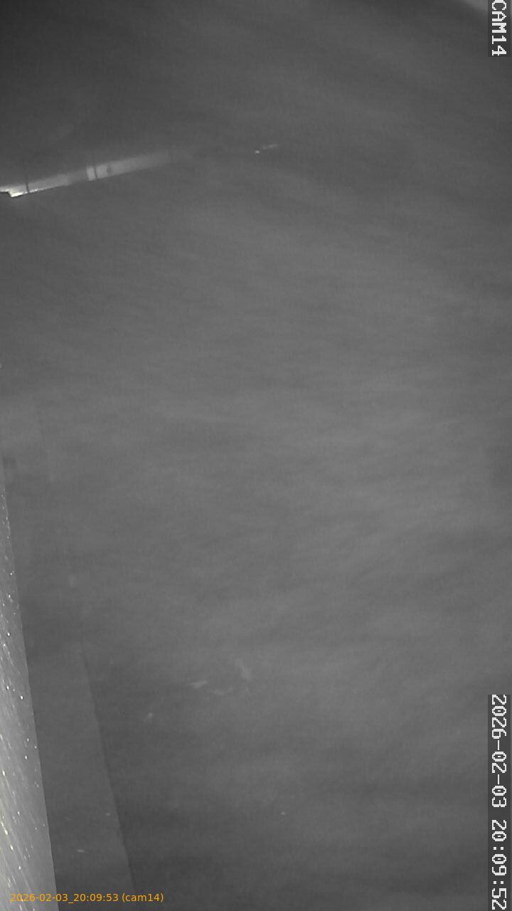 thumbnail_20260203200953