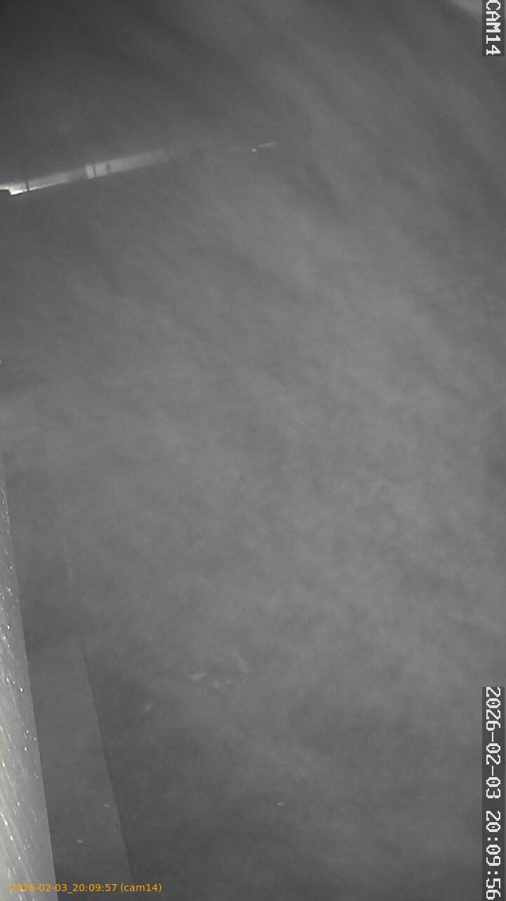 thumbnail_20260203200957