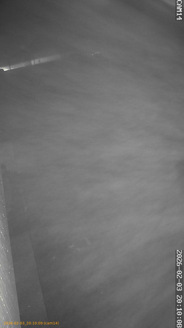 thumbnail_20260203201009