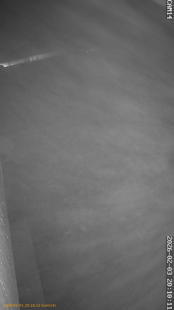 thumbnail_20260203201012