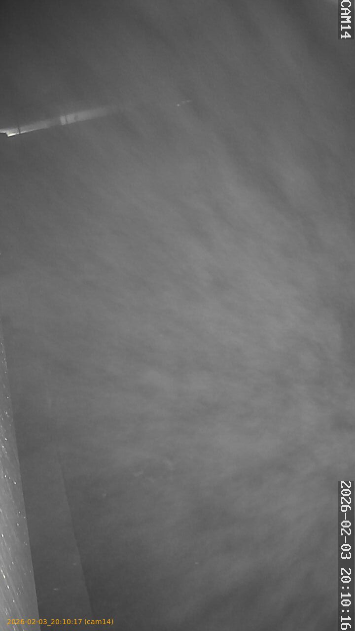 thumbnail_20260203201017