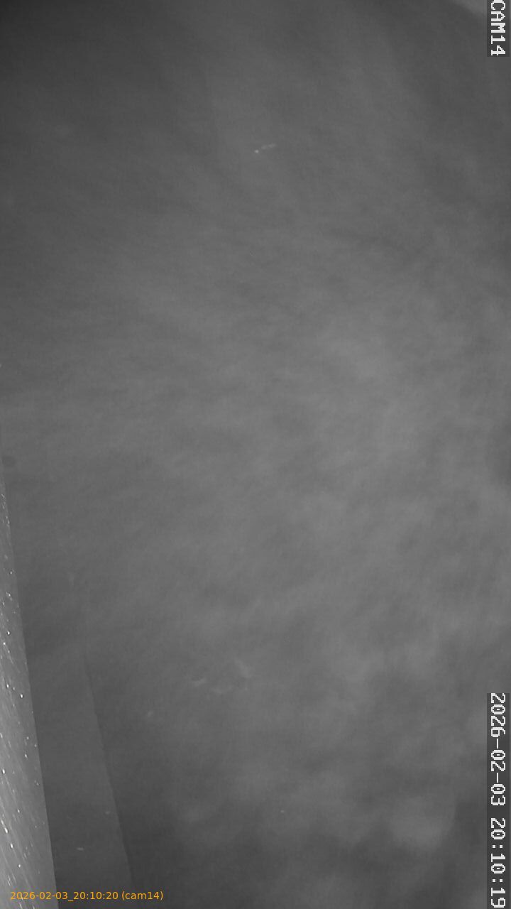 thumbnail_20260203201020