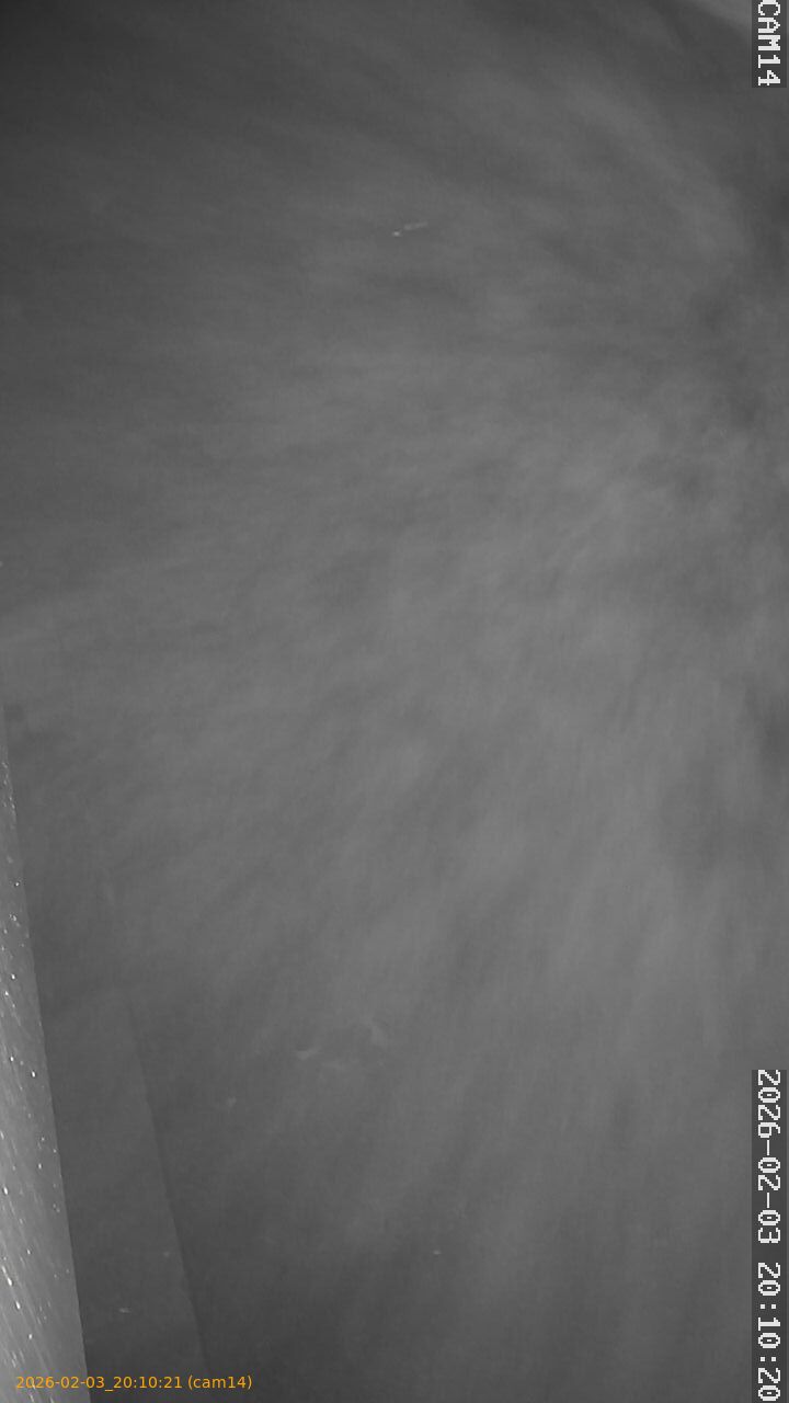 thumbnail_20260203201021